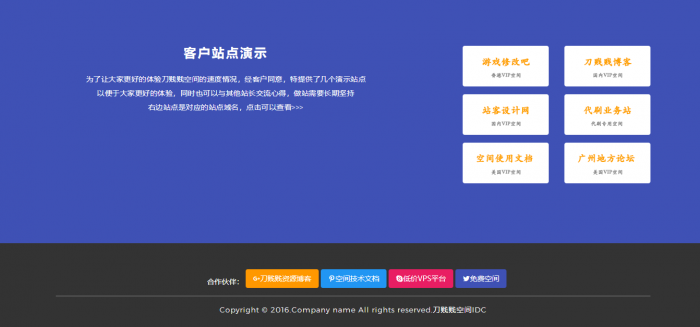 最新好用的简洁大方的idc首页模板插图3