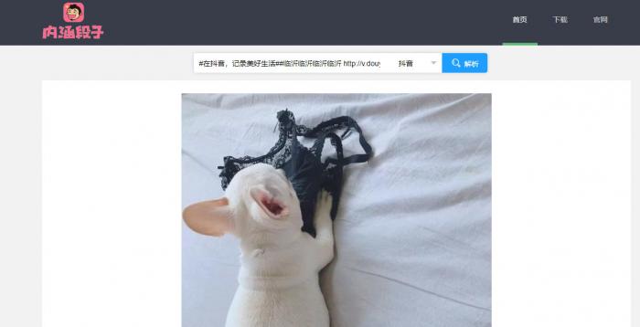 短视频无水印解析源码半开源分享-榆桦源码网