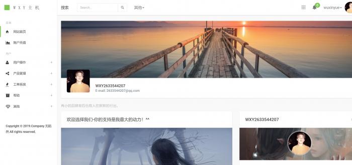 Swapidc大气2019最新模板免费分享插图3