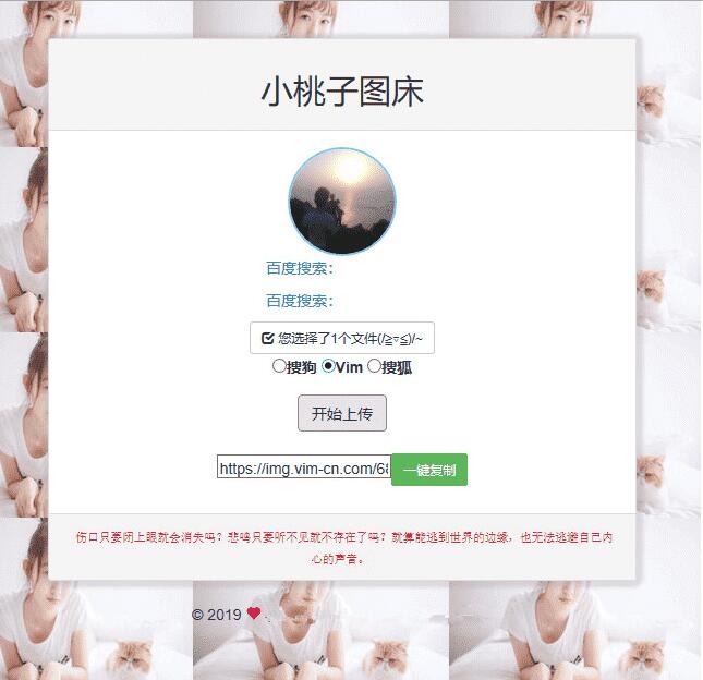 聚合图床程序源码 支持搜狗搜狐Vim图-榆桦源码网