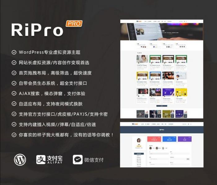 RIPro主题 v7.2 免授权修复后门完美版-榆桦源码网