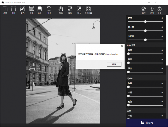 Picture Colorizer v2.4.0-榆桦源码网