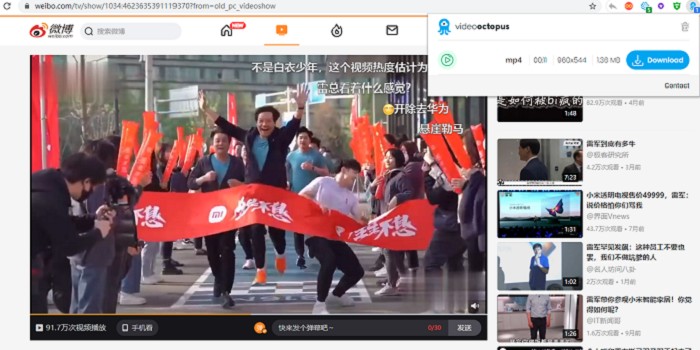 浏览器网页视频下载Video Octopus插件-榆桦源码网