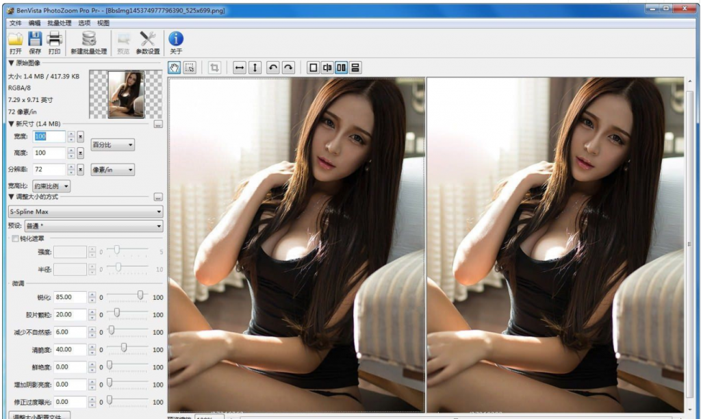 PhotoZoom破解专业版-图像无损放大工具-榆桦源码网