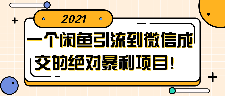 闲鱼引流到微信成交的绝对暴利项目！【视频教程】-榆桦源码网
