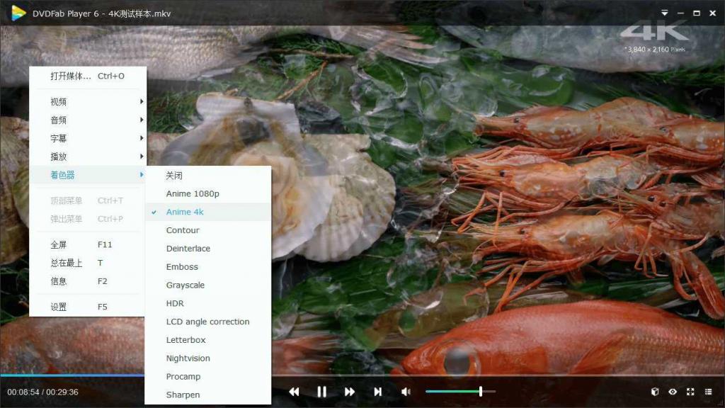 DVDFab Player v6.1.1高级版-榆桦源码网