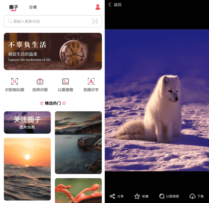以图搜图v1.0.0纯净版-榆桦源码网