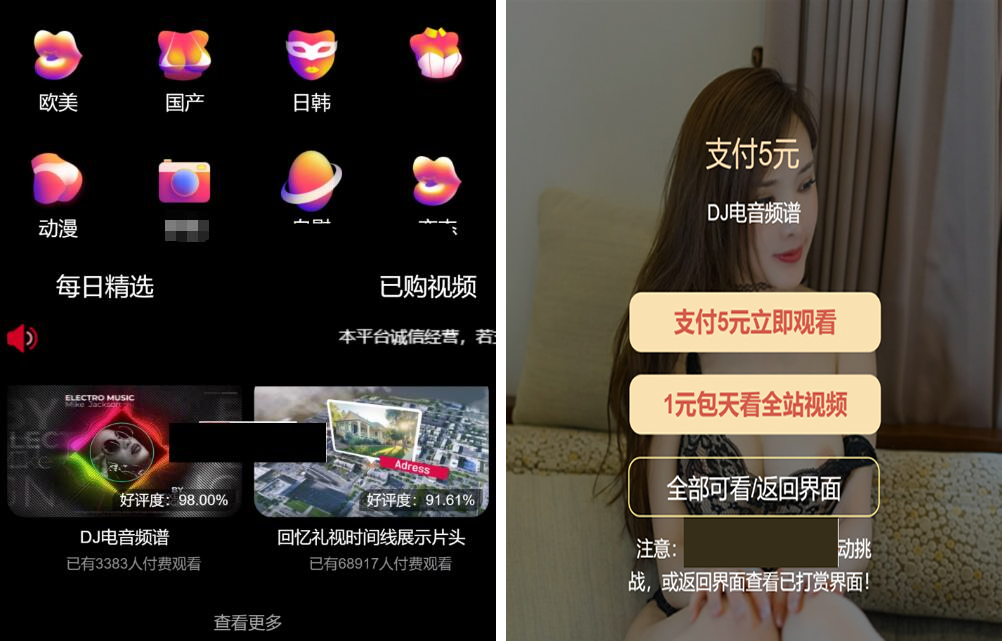 最新版付费视频打赏程序源码 多模板+全新UI 带包天+可扣量+代理 非云赏V系列-榆桦源码网