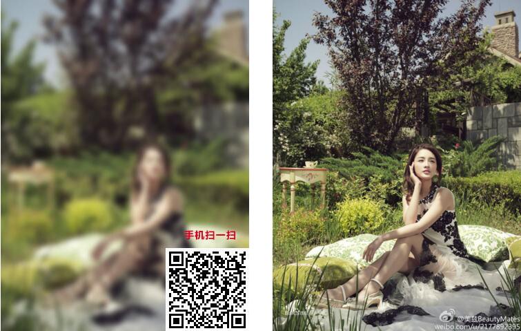 8tupian图片加密平台 v3.5-榆桦源码网