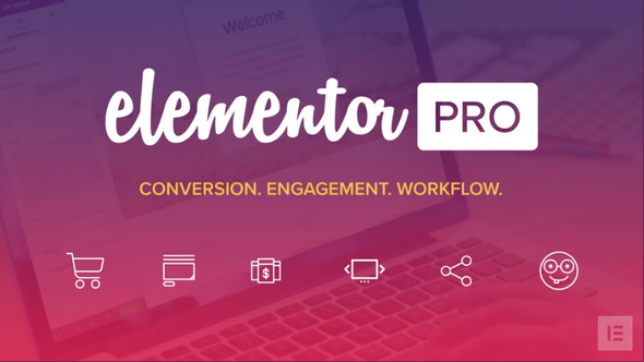 【Elementor Pro v2.10.0】WordPress插件+弹窗生成器+主题生成器+可视化拖拽编辑器插件+300多个Designer Made模板+专业版-榆桦源码网
