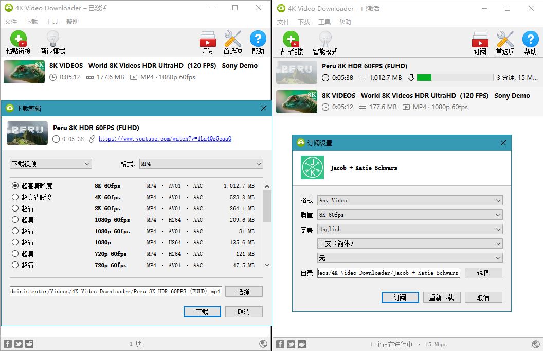 油管高清视频下载利器4K Video Downloader v4.20.4-榆桦源码网