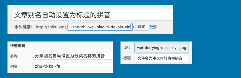 D1796-WordPress 文章别名、分类别名插件 Wenprise Pinyin Slug插图 D1796-WordPress 文章别名、分类别名插件 Wenprise Pinyin Slug插图