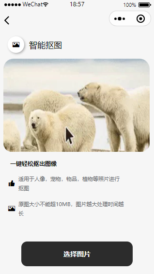 【榆桦亲测】D2036-最新可运营证件照小程序源码，支持流量主，前后端开源（2024.11.15更新）插图4